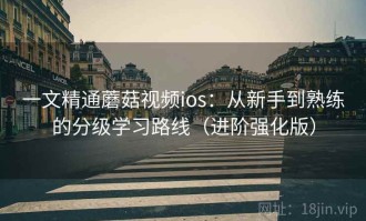 一文精通蘑菇视频ios：从新手到熟练的分级学习路线（进阶强化版）