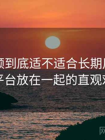 蘑菇视频到底适不适合长期用？与同类平台放在一起的直观对比