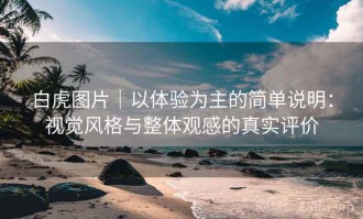白虎图片｜以体验为主的简单说明：视觉风格与整体观感的真实评价