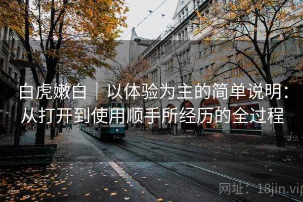 白虎嫩白｜以体验为主的简单说明：从打开到使用顺手所经历的全过程