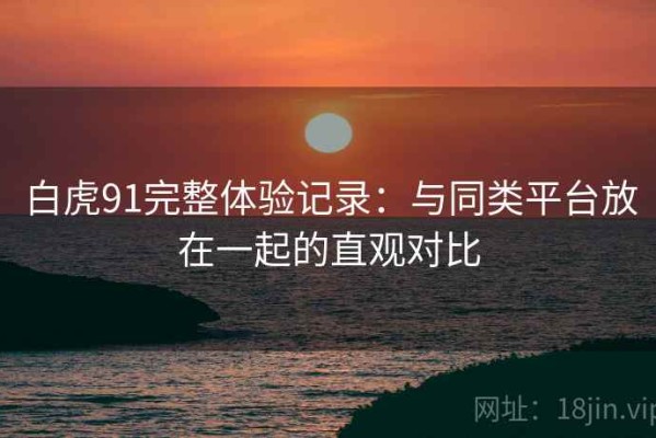 白虎91完整体验记录：与同类平台放在一起的直观对比