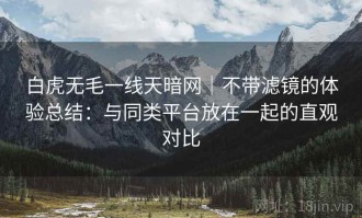 白虎无毛一线天暗网｜不带滤镜的体验总结：与同类平台放在一起的直观对比