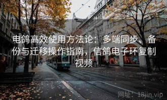 电鸽高效使用方法论：多端同步、备份与迁移操作指南，信鸽电子环复制视频