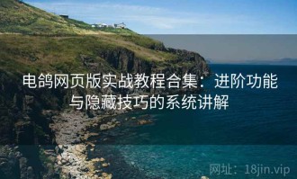 电鸽网页版实战教程合集：进阶功能与隐藏技巧的系统讲解