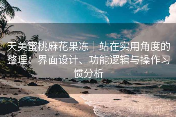 天美蜜桃麻花果冻｜站在实用角度的整理：界面设计、功能逻辑与操作习惯分析