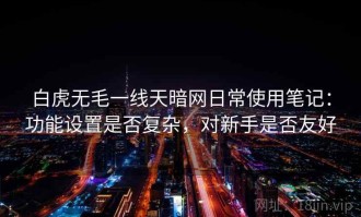 白虎无毛一线天暗网日常使用笔记：功能设置是否复杂，对新手是否友好