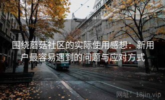 围绕蘑菇社区的实际使用感想：新用户最容易遇到的问题与应对方式
