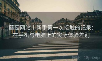 蘑菇网站｜新手第一次接触的记录：在手机与电脑上的实际体验差别