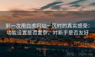 第一次用白虎网站一区时的真实感受：功能设置是否复杂，对新手是否友好
