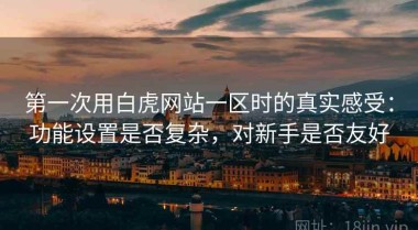 第一次用白虎网站一区时的真实感受：功能设置是否复杂，对新手是否友好