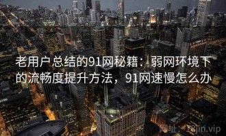 老用户总结的91网秘籍：弱网环境下的流畅度提升方法，91网速慢怎么办