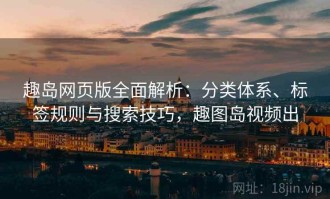 趣岛网页版全面解析：分类体系、标签规则与搜索技巧，趣图岛视频出