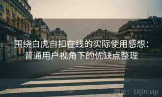 围绕白虎自扣在线的实际使用感想：普通用户视角下的优缺点整理