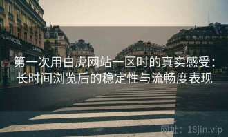 第一次用白虎网站一区时的真实感受：长时间浏览后的稳定性与流畅度表现