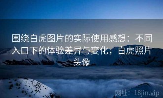 围绕白虎图片的实际使用感想：不同入口下的体验差异与变化，白虎照片头像