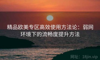 精品欧美专区高效使用方法论：弱网环境下的流畅度提升方法