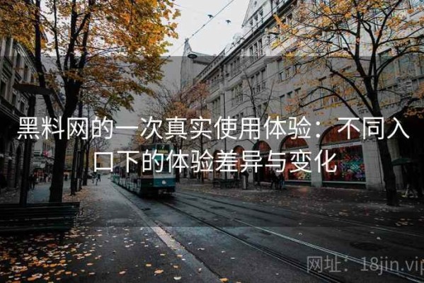 黑料网的一次真实使用体验：不同入口下的体验差异与变化