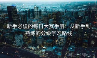 新手必读的每日大赛手册：从新手到熟练的分级学习路线