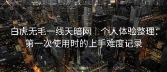 白虎无毛一线天暗网｜个人体验整理：第一次使用时的上手难度记录