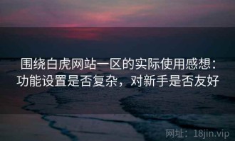 围绕白虎网站一区的实际使用感想：功能设置是否复杂，对新手是否友好