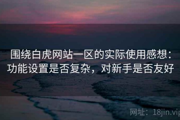 围绕白虎网站一区的实际使用感想：功能设置是否复杂，对新手是否友好