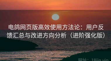 电鸽网页版高效使用方法论：用户反馈汇总与改进方向分析（进阶强化版）