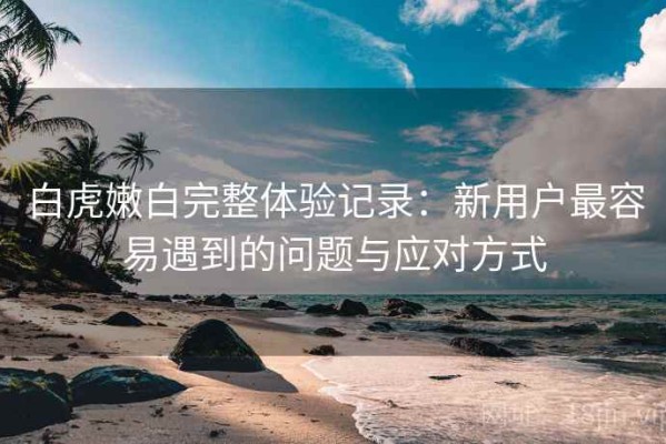 白虎嫩白完整体验记录：新用户最容易遇到的问题与应对方式