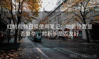 红桃视频日常使用笔记：功能设置是否复杂，对新手是否友好