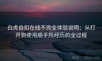 白虎自扣在线不完全体验说明：从打开到使用顺手所经历的全过程