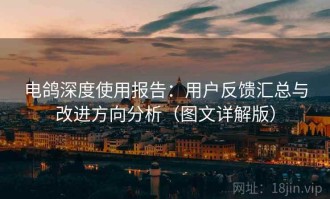 电鸽深度使用报告：用户反馈汇总与改进方向分析（图文详解版）