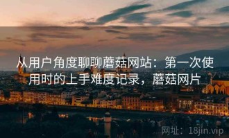 从用户角度聊聊蘑菇网站：第一次使用时的上手难度记录，蘑菇网片