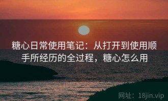 糖心日常使用笔记：从打开到使用顺手所经历的全过程，糖心怎么用