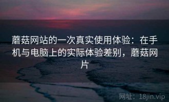 蘑菇网站的一次真实使用体验：在手机与电脑上的实际体验差别，蘑菇网片