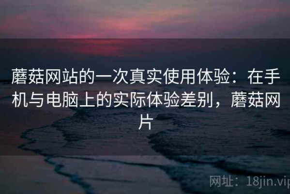 蘑菇网站的一次真实使用体验：在手机与电脑上的实际体验差别，蘑菇网片