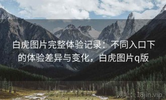白虎图片完整体验记录：不同入口下的体验差异与变化，白虎图片q版