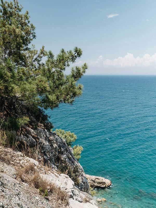 白虎自扣在线｜连续使用一段时间后的感受：内容更新频率与实际可看程度评估