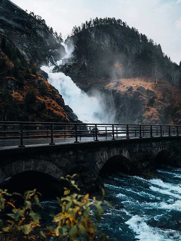 白虎自扣在线完整体验记录：在手机与电脑上的实际体验差别，白虎t恤