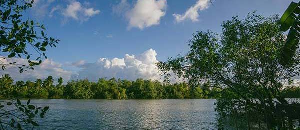 从用户角度聊聊天美密桃果冻mv：新用户最容易遇到的问题与应对方式