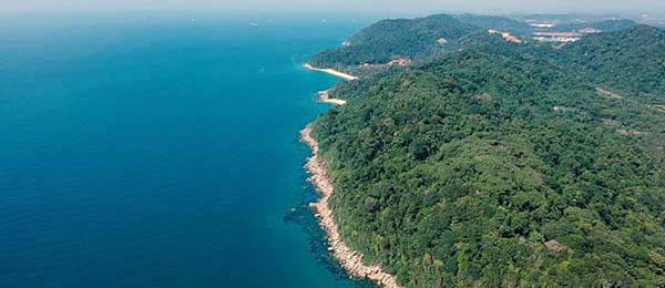 从用户角度聊聊天美密桃果冻mv：新用户最容易遇到的问题与应对方式