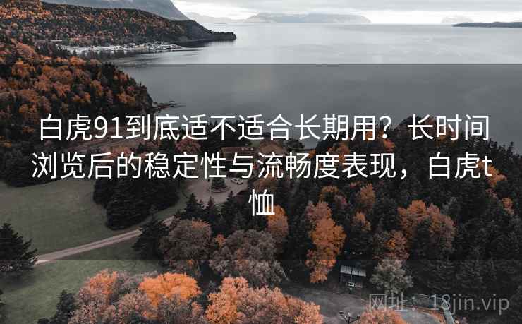 白虎91到底适不适合长期用?长时间浏览后的稳定性与流畅度表现,白虎t恤 白虎91到底适不适合长期用?长时间浏览后的稳定性与流畅度表现,白虎t恤