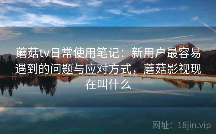 蘑菇tv日常使用笔记:新用户最容易遇到的问题与应对方式,蘑菇影视现在叫什么 蘑菇tv日常使用笔记:新用户最容易遇到的问题与应对方式,蘑菇影视现在叫什么