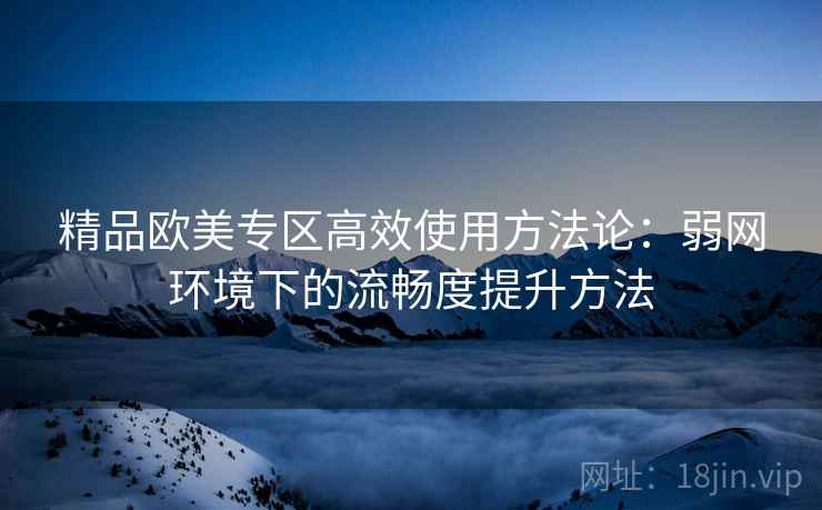 精品欧美专区高效使用方法论：弱网环境下的流畅度提升方法