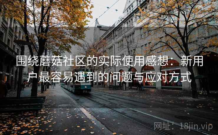 围绕蘑菇社区的实际使用感想：新用户最容易遇到的问题与应对方式
