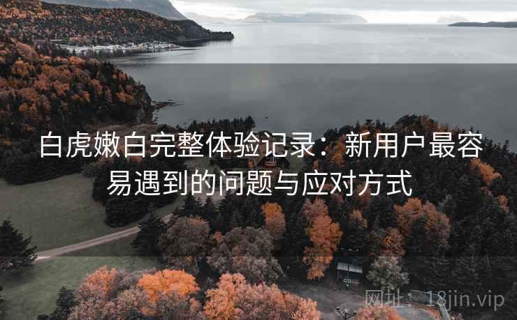 白虎嫩白完整体验记录：新用户最容易遇到的问题与应对方式