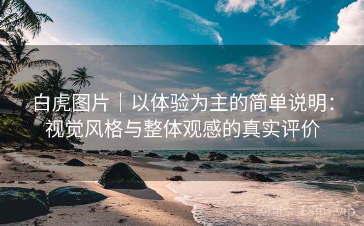 白虎图片｜以体验为主的简单说明：视觉风格与整体观感的真实评价