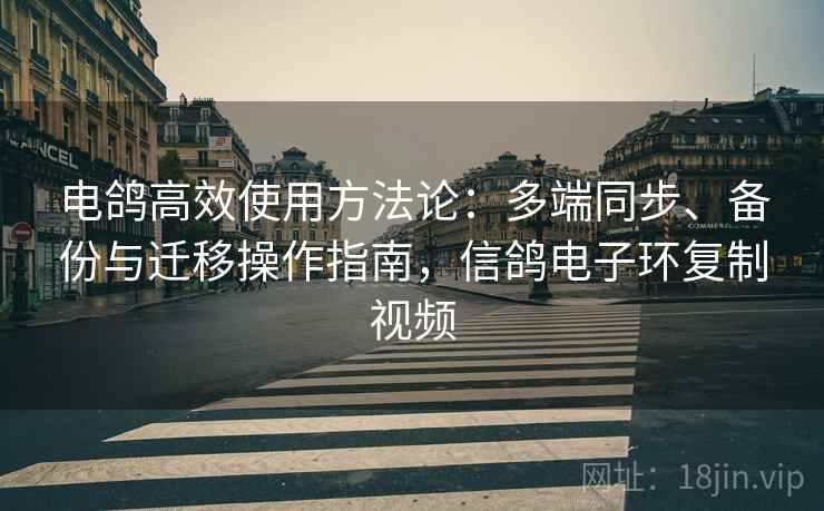 电鸽高效使用方法论：多端同步、备份与迁移操作指南，信鸽电子环复制视频