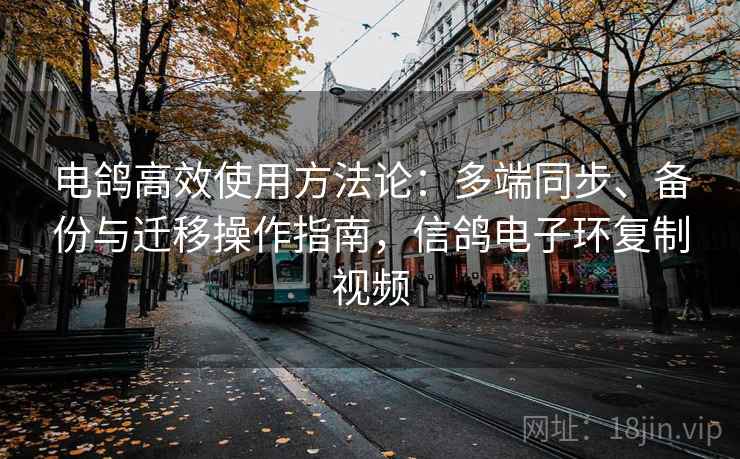 电鸽高效使用方法论：多端同步、备份与迁移操作指南，信鸽电子环复制视频