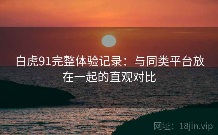 白虎91完整体验记录：与同类平台放在一起的直观对比
