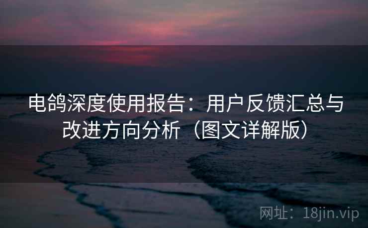 电鸽深度使用报告:用户反馈汇总与改进方向分析(图文详解版) 电鸽深度使用报告:用户反馈汇总与改进方向分析(图文详解版)